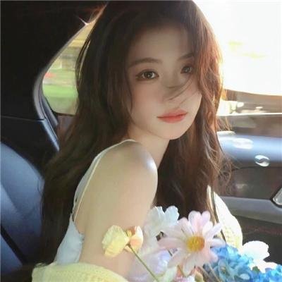 方案